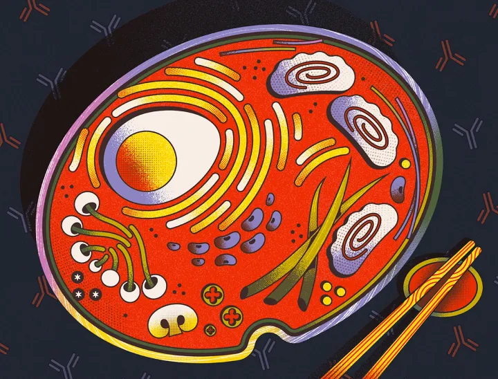 您的饮食可以改变您的免疫系统 — 方法如下